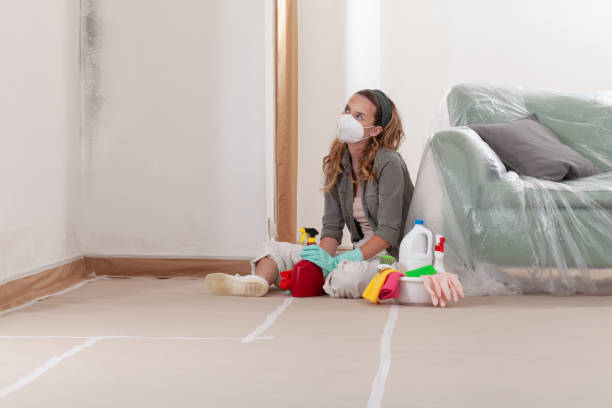 Reliable Mold Testing contractor in Neptune Beach, FL by WQB Mold Removal